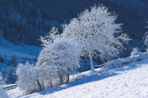 W70 Weihnachtskarte Südtirol