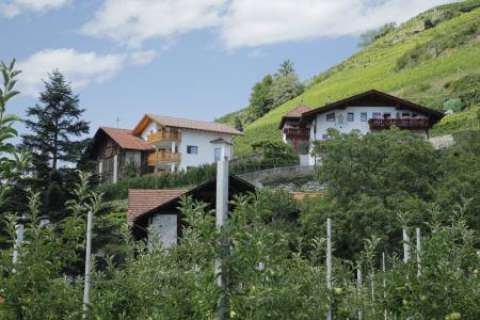 Ausserleiterhof Schenna, Foto vom Boden aus